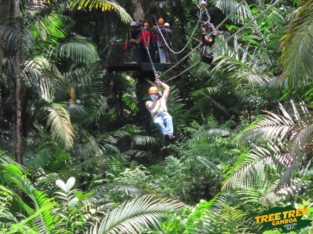 Zip lining in Tree Trek Gamboa Panama