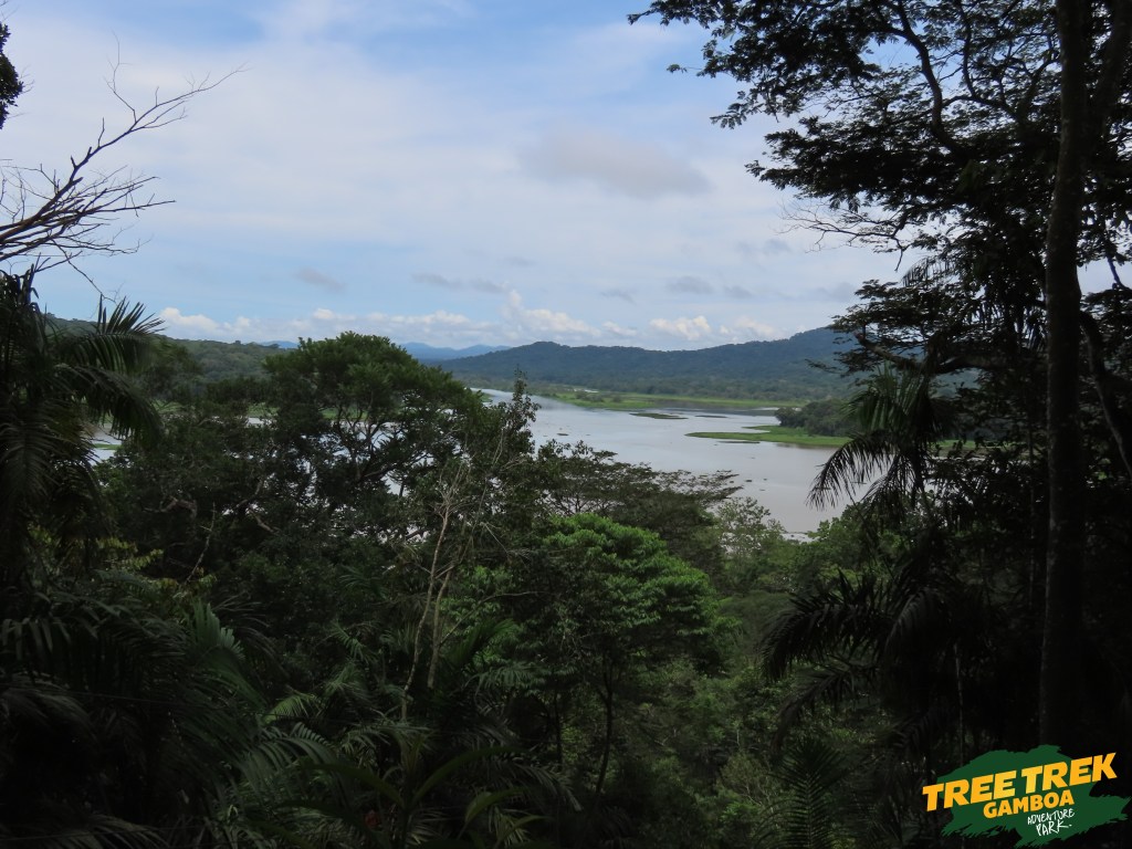 Zip lining in Tree Trek Gamboa Panama view