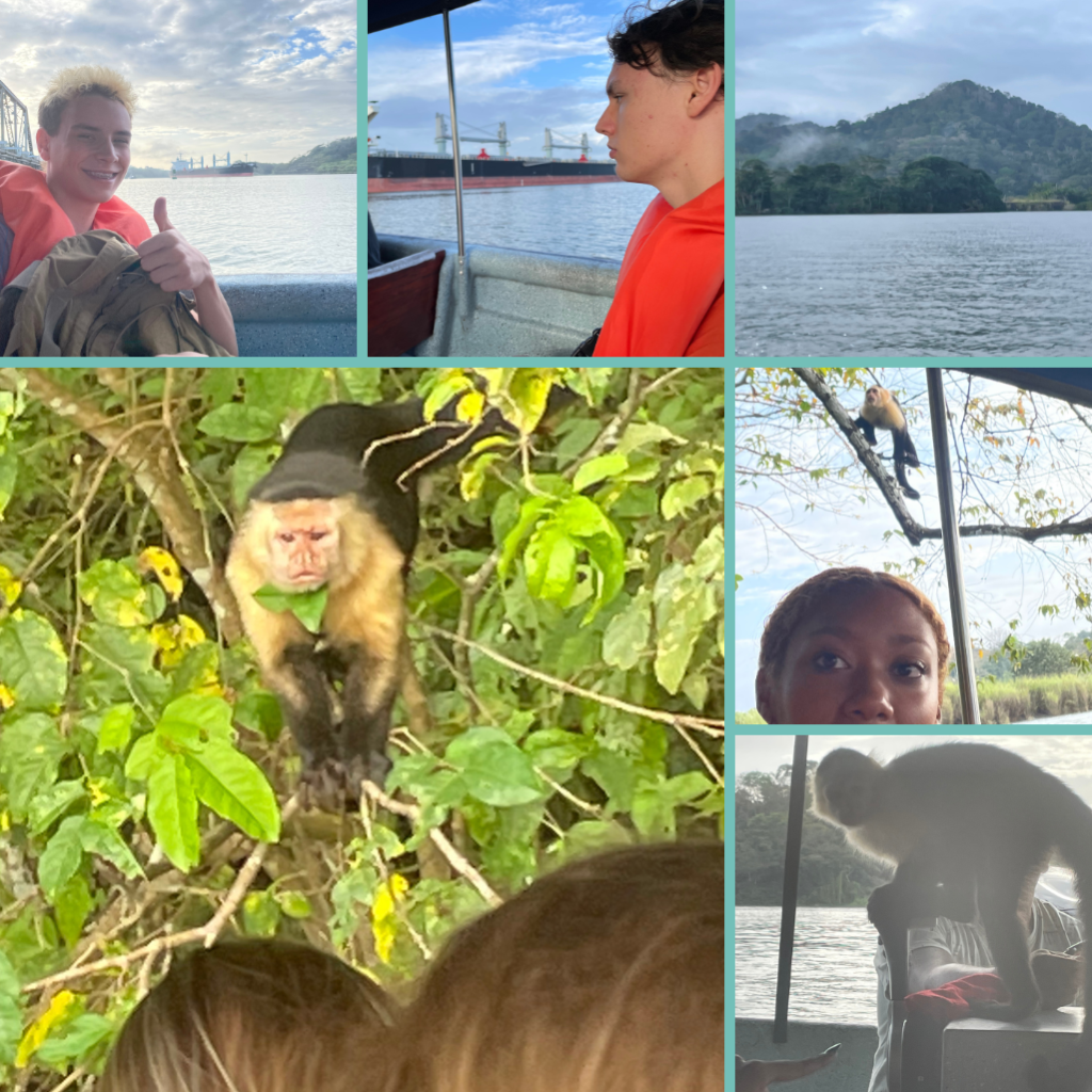 Pictures of monkey island panama with monkeys on the boat