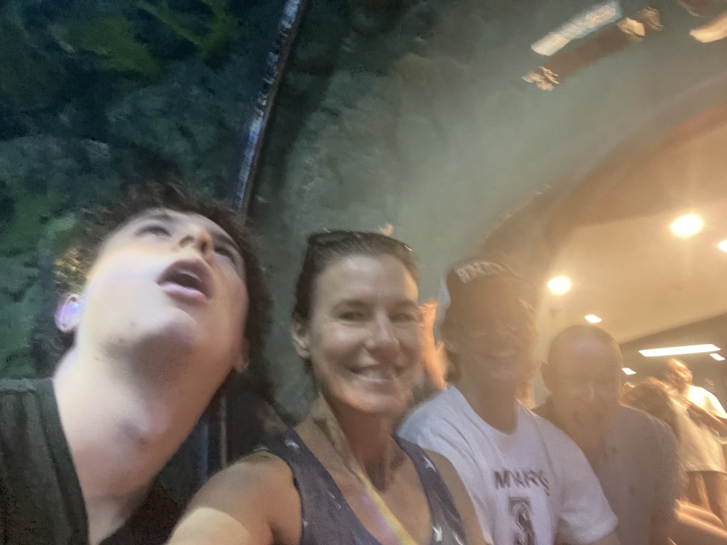 Sharks above us at the Aquarium Pyramid at Moody Gardens in Galveston Texas