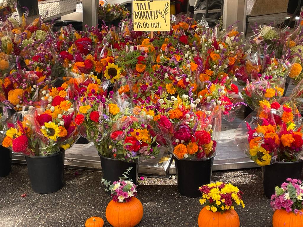fall colors and plants in philly